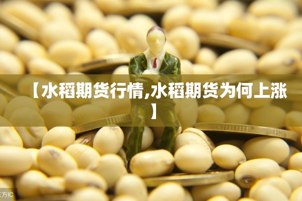 【水稻期货行情,水稻期货为何上涨】 【水稻期货行情,水稻期货为何上涨】