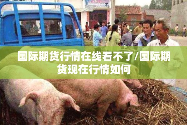国际期货行情在线看不了/国际期货现在行情如何 国际期货行情在线看不了/国际期货现在行情如何