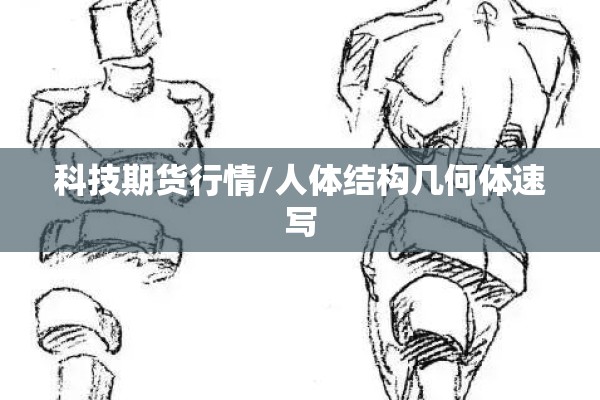 科技期货行情/人体结构几何体速写 科技期货行情/人体结构几何体速写
