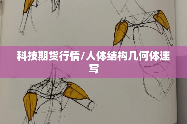 科技期货行情/人体结构几何体速写 科技期货行情/人体结构几何体速写