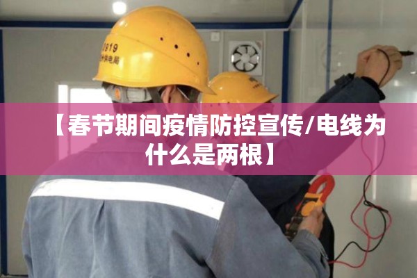 【春节期间疫情防控宣传/电线为什么是两根】 【春节期间疫情防控宣传/电线为什么是两根】