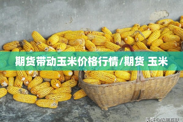 期货带动玉米价格行情/期货 玉米 期货带动玉米价格行情/期货 玉米