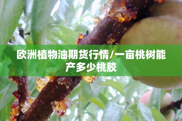 欧洲植物油期货行情/一亩桃树能产多少桃胶