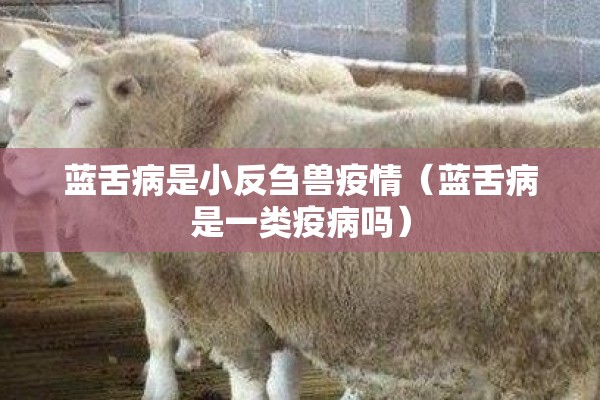 蓝舌病是小反刍兽疫情(蓝舌病是一类疫病吗) 蓝舌病是小反刍兽疫情(蓝舌病是一类疫病吗)