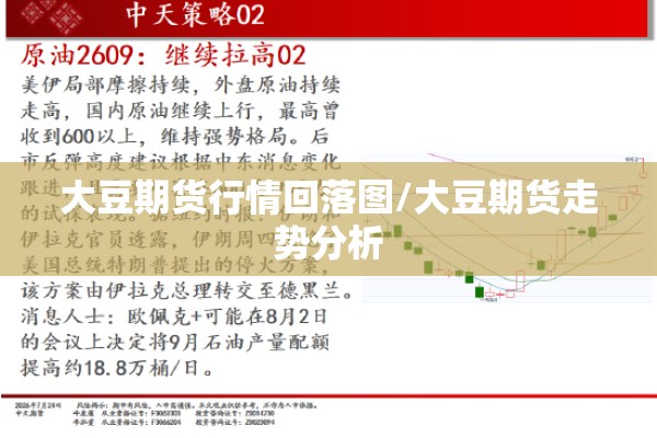 大豆期货行情回落图/大豆期货走势分析