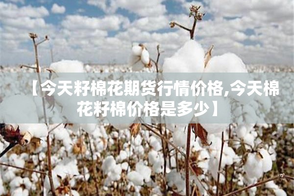 【今天籽棉花期货行情价格,今天棉花籽棉价格是多少】