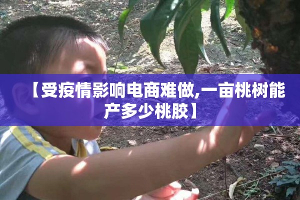 【受疫情影响电商难做,一亩桃树能产多少桃胶】