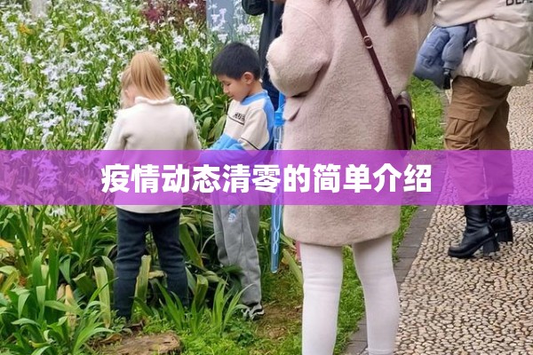 疫情动态清零的简单介绍 疫情动态清零的简单介绍