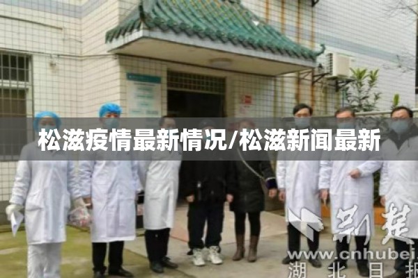 松滋疫情最新情况/松滋新闻最新
