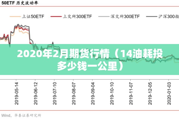 2020年2月期货行情（14油耗投多少钱一公里）