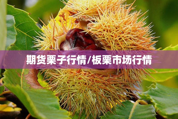 期货栗子行情/板栗市场行情 期货栗子行情/板栗市场行情