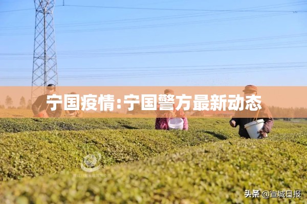 宁国疫情:宁国警方最新动态 宁国疫情:宁国警方最新动态
