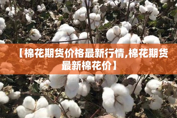 【棉花期货价格最新行情,棉花期货最新棉花价】