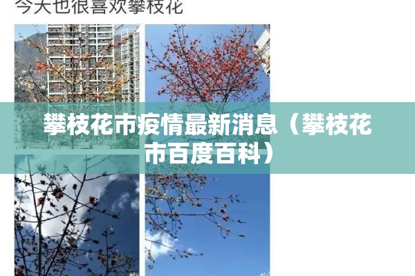 攀枝花市疫情最新消息（攀枝花市百度百科）