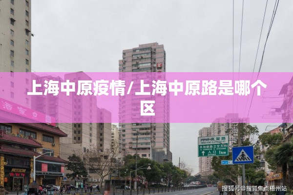 上海中原疫情/上海中原路是哪个区