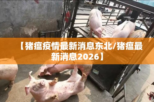 【猪瘟疫情最新消息东北/猪瘟最新消息2026】 【猪瘟疫情最新消息东北/猪瘟最新消息2026】