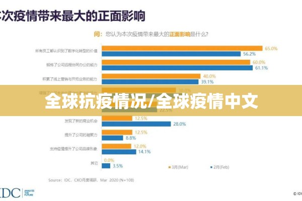 全球抗疫情况/全球疫情中文 全球抗疫情况/全球疫情中文