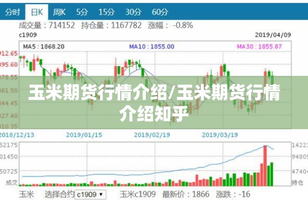 玉米期货行情介绍/玉米期货行情介绍知乎