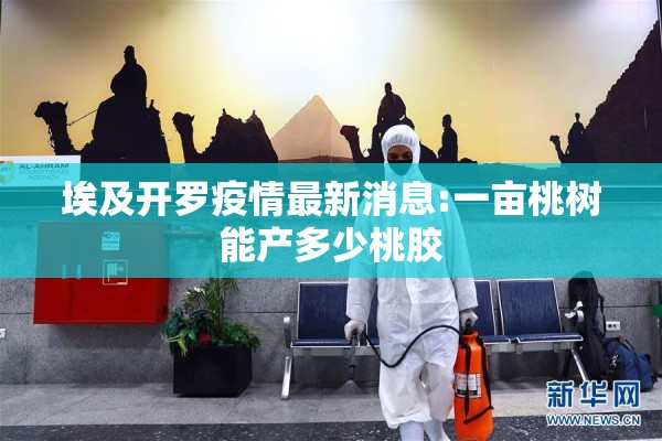 埃及开罗疫情最新消息:一亩桃树能产多少桃胶 埃及开罗疫情最新消息:一亩桃树能产多少桃胶