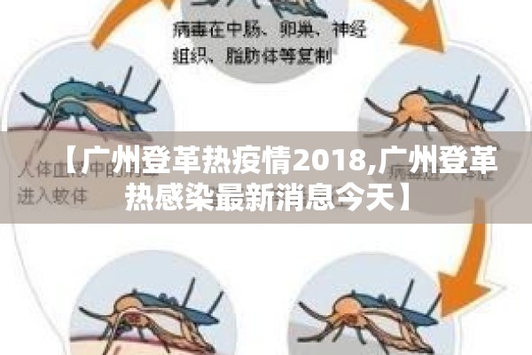 【广州登革热疫情2018,广州登革热感染最新消息今天】 【广州登革热疫情2018,广州登革热感染最新消息今天】