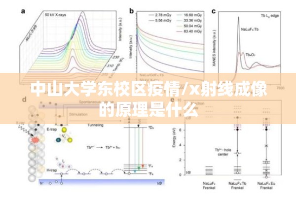 中山大学东校区疫情/x射线成像的原理是什么 中山大学东校区疫情/x射线成像的原理是什么