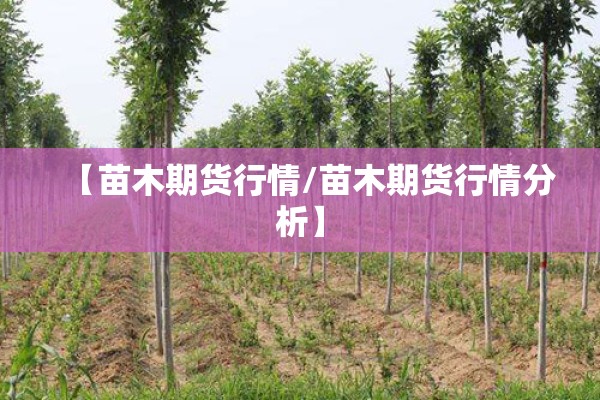 【苗木期货行情/苗木期货行情分析】