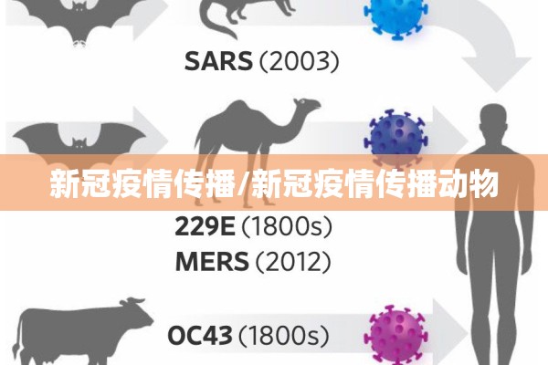 新冠疫情传播/新冠疫情传播动物 新冠疫情传播/新冠疫情传播动物