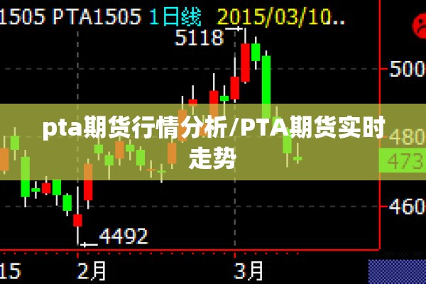 pta期货行情分析/PTA期货实时走势 pta期货行情分析/PTA期货实时走势