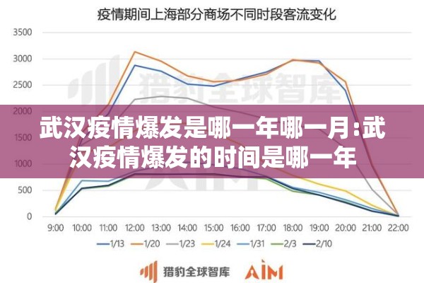 武汉疫情爆发是哪一年哪一月:武汉疫情爆发的时间是哪一年