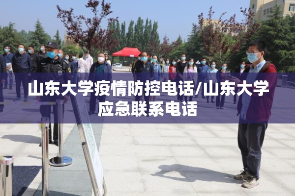 山东大学疫情防控电话/山东大学应急联系电话