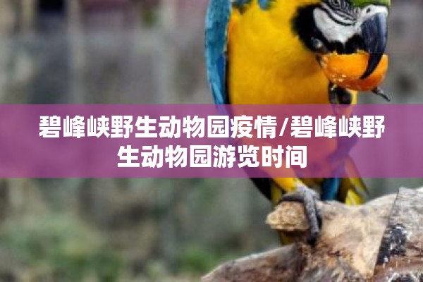 碧峰峡野生动物园疫情/碧峰峡野生动物园游览时间 碧峰峡野生动物园疫情/碧峰峡野生动物园游览时间