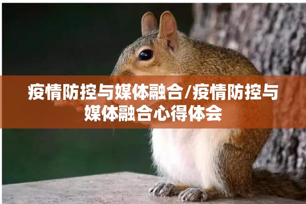 疫情防控与媒体融合/疫情防控与媒体融合心得体会 疫情防控与媒体融合/疫情防控与媒体融合心得体会