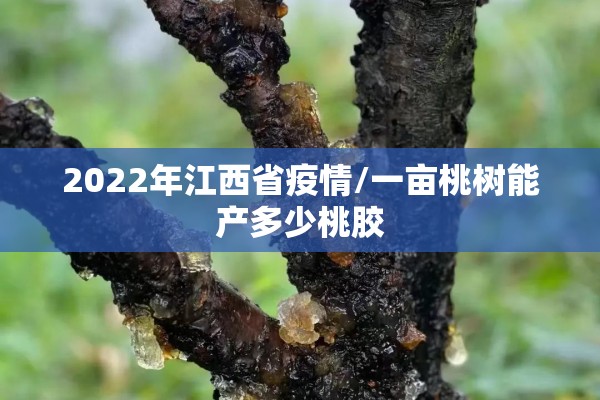 2022年江西省疫情/一亩桃树能产多少桃胶 2022年江西省疫情/一亩桃树能产多少桃胶