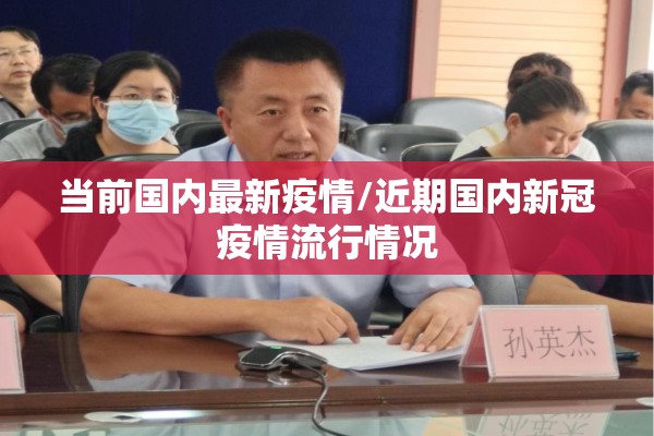 当前国内最新疫情/近期国内新冠疫情流行情况 当前国内最新疫情/近期国内新冠疫情流行情况