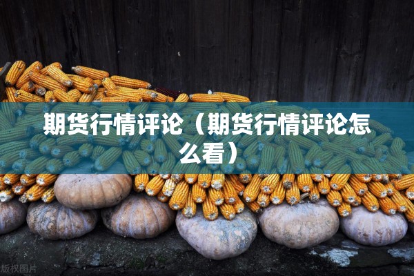 期货行情评论(期货行情评论怎么看) 期货行情评论(期货行情评论怎么看)