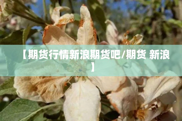 【期货行情新浪期货吧/期货 新浪】 【期货行情新浪期货吧/期货 新浪】