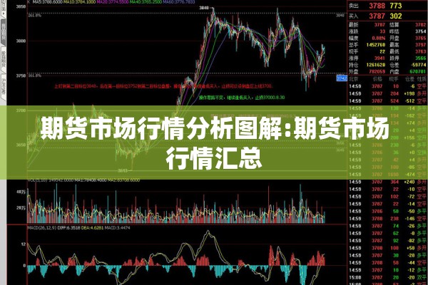 期货市场行情分析图解:期货市场行情汇总 期货市场行情分析图解:期货市场行情汇总