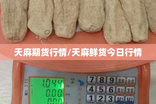 天麻期货行情/天麻鲜货今日行情 天麻期货行情/天麻鲜货今日行情