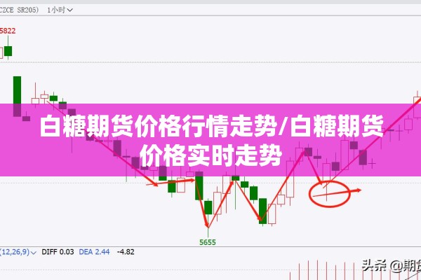 白糖期货价格行情走势/白糖期货价格实时走势
