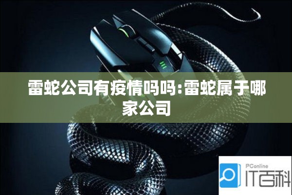 雷蛇公司有疫情吗吗:雷蛇属于哪家公司