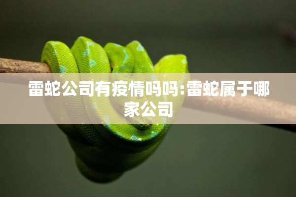 雷蛇公司有疫情吗吗:雷蛇属于哪家公司
