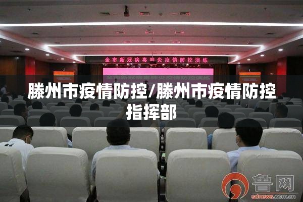滕州市疫情防控/滕州市疫情防控指挥部