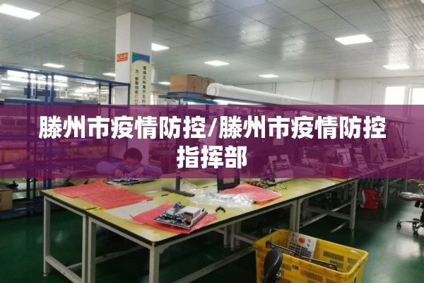 滕州市疫情防控/滕州市疫情防控指挥部