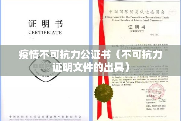 疫情不可抗力公证书（不可抗力证明文件的出具）