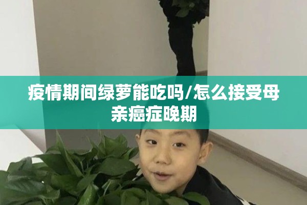疫情期间绿萝能吃吗/怎么接受母亲癌症晚期 疫情期间绿萝能吃吗/怎么接受母亲癌症晚期