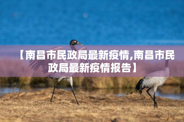 【南昌市民政局最新疫情,南昌市民政局最新疫情报告】
