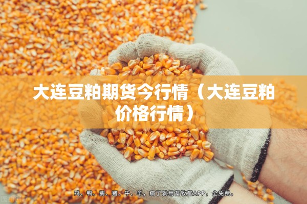 大连豆粕期货今行情(大连豆粕价格行情) 大连豆粕期货今行情(大连豆粕价格行情)