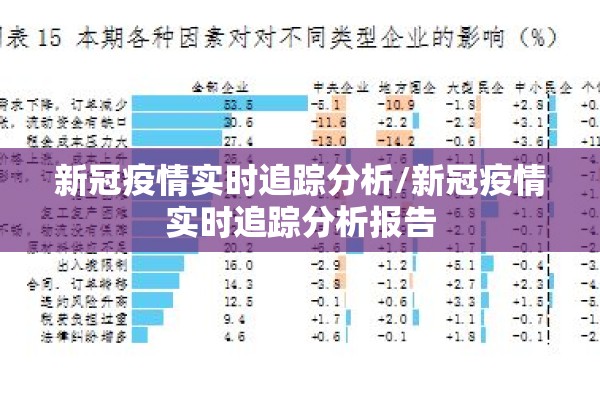 新冠疫情实时追踪分析/新冠疫情实时追踪分析报告