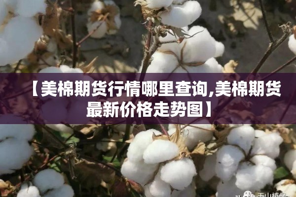 【美棉期货行情哪里查询,美棉期货最新价格走势图】 【美棉期货行情哪里查询,美棉期货最新价格走势图】