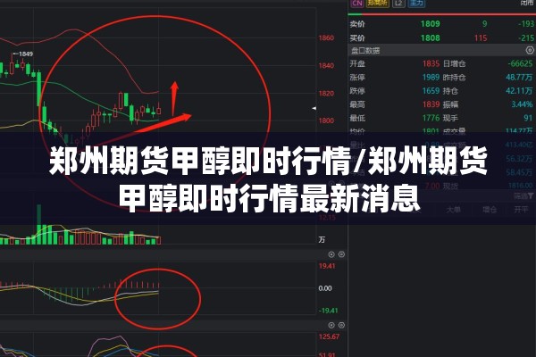 郑州期货甲醇即时行情/郑州期货甲醇即时行情最新消息